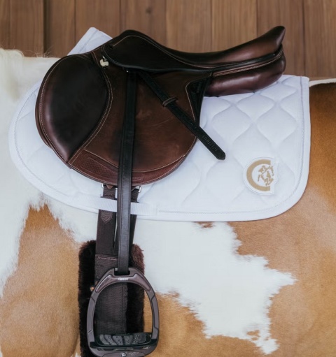 Czaprak skokowy Kentucky Wave