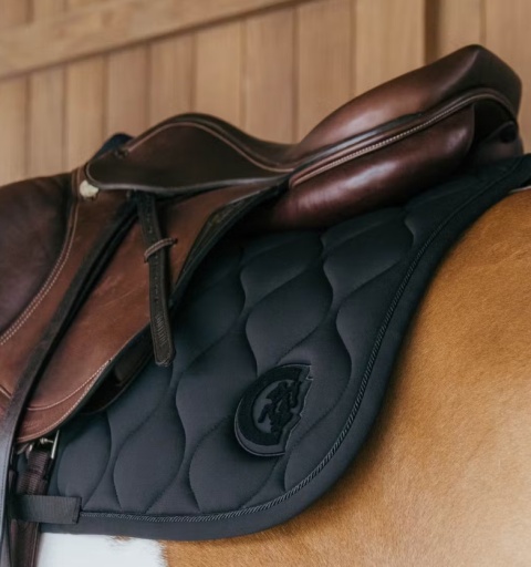 Czaprak skokowy Kentucky Wave