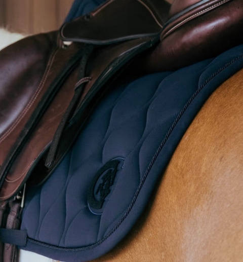 Czaprak skokowy Kentucky Wave