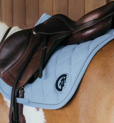 Czaprak skokowy Kentucky Wave