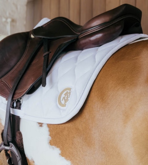 Czaprak skokowy Kentucky Wave