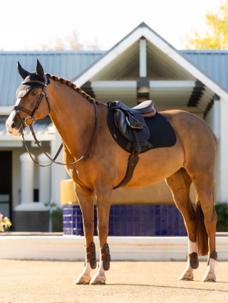 Czaprak skokowy LeMieux Essence Eurojump Square