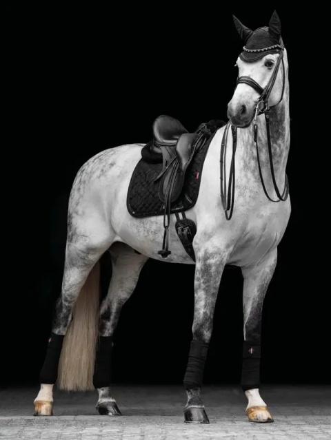 Czaprak ujeżdżeniowy LeMieux Crystal Suede Dressage Pad