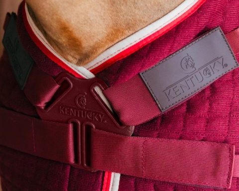 Derka Kentucky Cooler Rug PROtherm