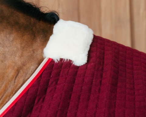 Derka Kentucky Cooler Rug PROtherm