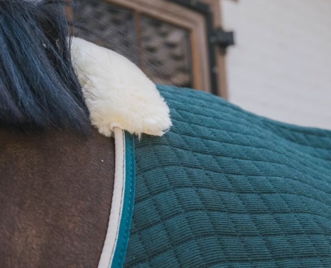 Derka Kentucky Cooler Rug PROtherm