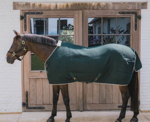 Derka Kentucky Cooler Rug PROtherm