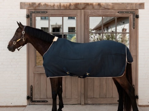 Derka Kentucky Cooler Rug PROtherm