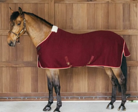 Derka Kentucky Cooler Rug PROtherm