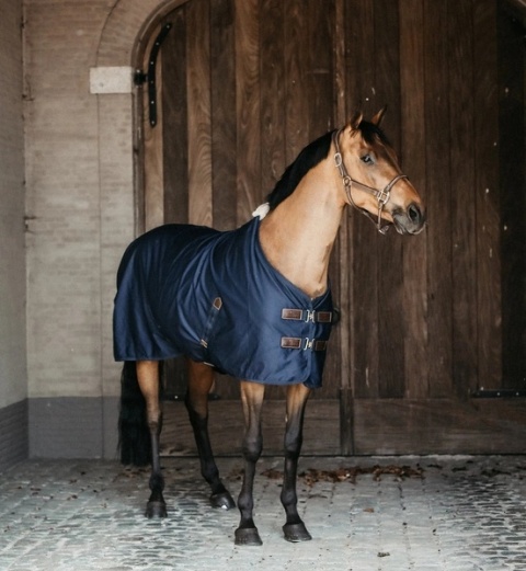 Derka bawełniana Kentucky Cotton Sheet