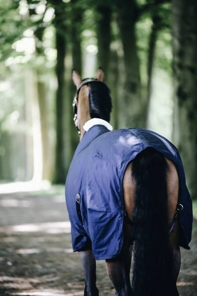 Derka bawełniana Kentucky Cotton Sheet