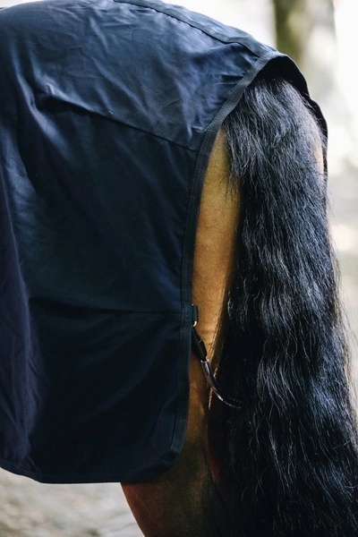 Derka bawełniana Kentucky Cotton Sheet