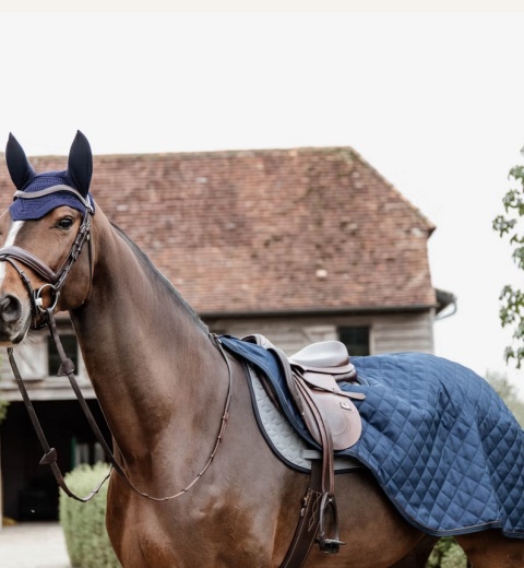 Derka do jazdy Kentucky 160g