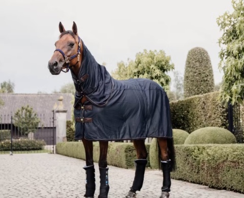 Derka magnetyczna Kentucky Recuptex