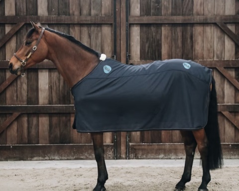 Derka magnetyczna Kentucky Recuptex