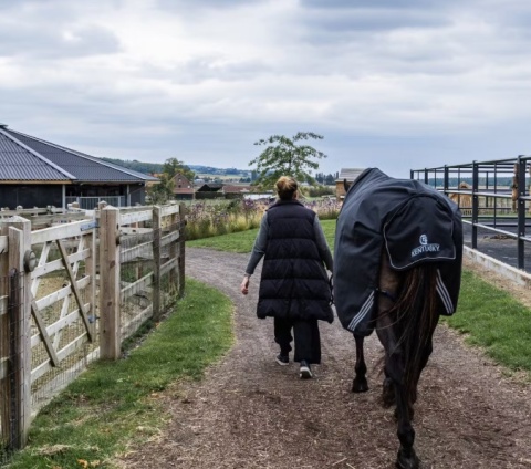 Derka padokowa Kentucky Turnout All Weather Waterproof Comfort 0g