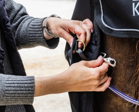 Derka padokowa Kentucky Turnout All Weather Waterproof Comfort 100g