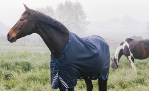 Derka padokowa Kentucky Turnout All Weather Waterproof Comfort 100g