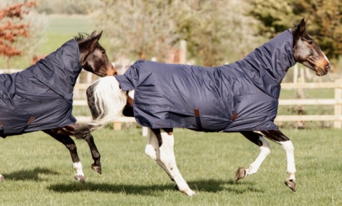 Derka padokowa z kapturem Kentucky All Weather Quick Dry 0g