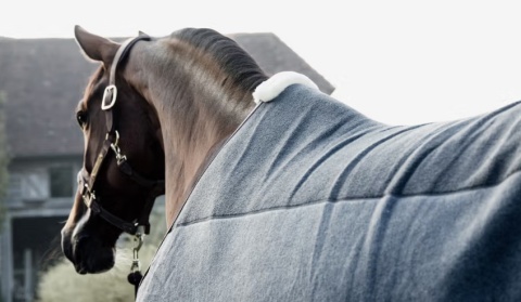 Derka polarowa Kentucky Heavy