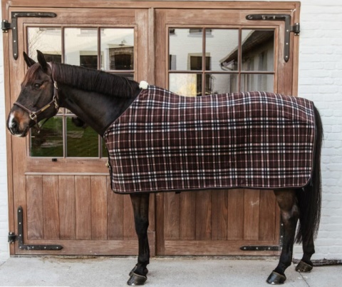 Derka polarowa Kentucky Heavy