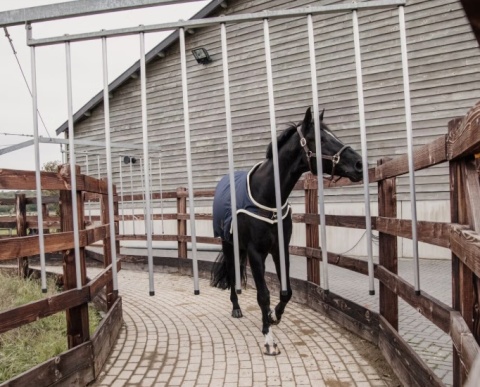 Derka spacerowa / do karuzeli Kentucky Waterproof 160g