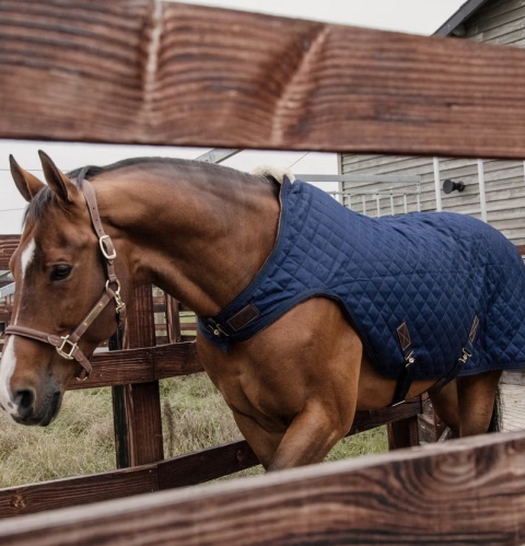 Derka spacerowa / do karuzeli Kentucky 160g