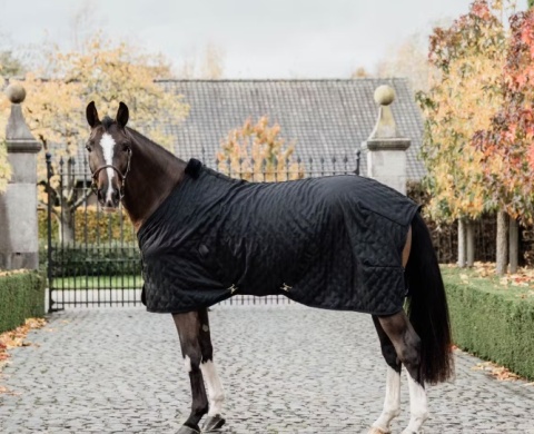 Derka stajenna Kentucky 0 g