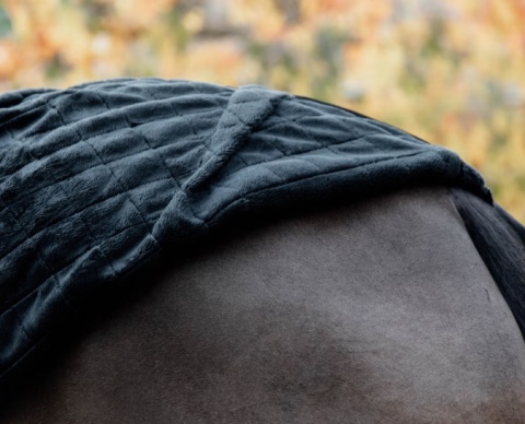 Derka stajenna Kentucky 0 g