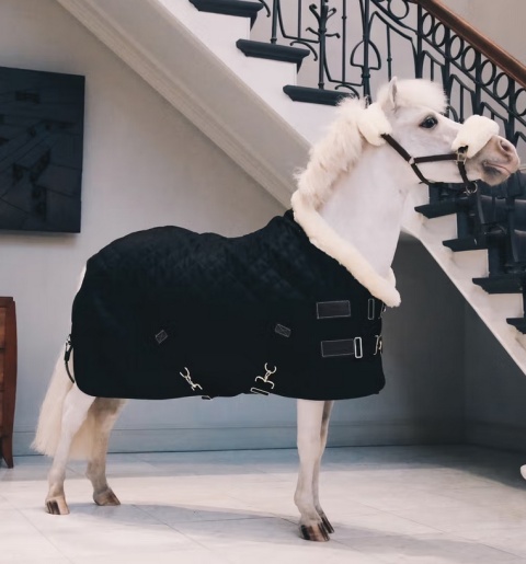 Derka pokazowa/stajenna Kentucky 160 g - z naturalnym futrem