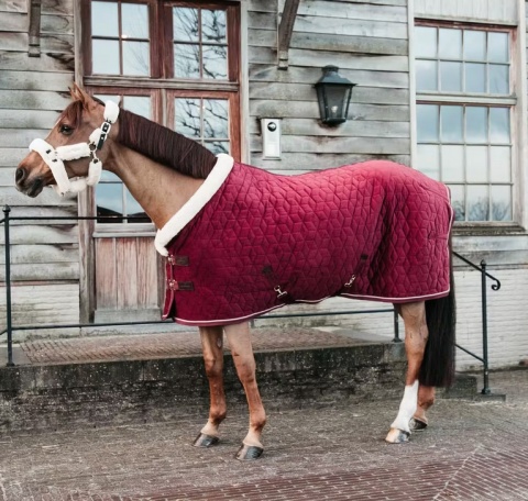 Derka wystawowa/stajenna Kentucky Velvet 160g