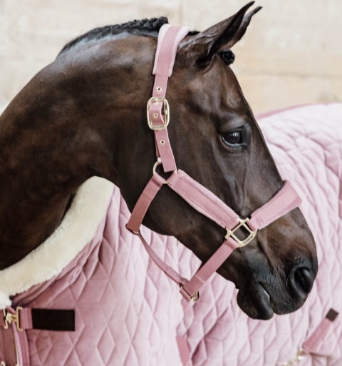 Derka wystawowa/stajenna Kentucky Velvet 160g