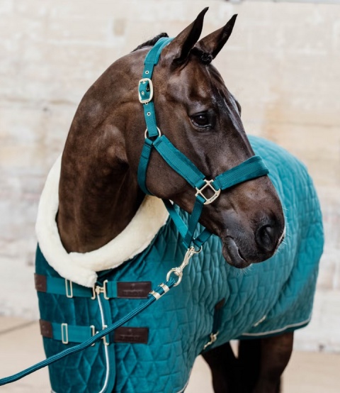 Derka wystawowa/stajenna Kentucky Velvet 160g