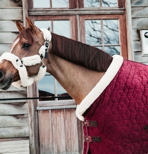 Derka wystawowa/stajenna Kentucky Velvet 160g