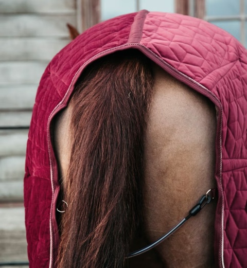 Derka wystawowa/stajenna Kentucky Velvet 160g