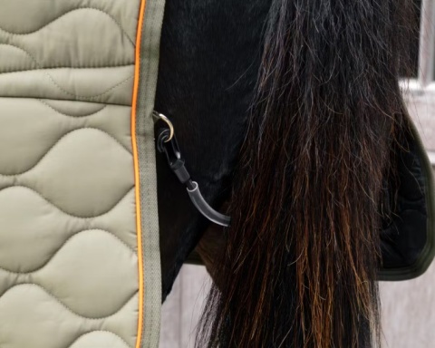 Derka stajenna Kentucky Wave 160g