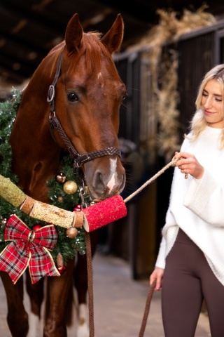 Gryzak RENIFER Candy Horse - Christmas