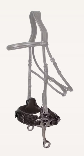 Hackamore Dy'on New English