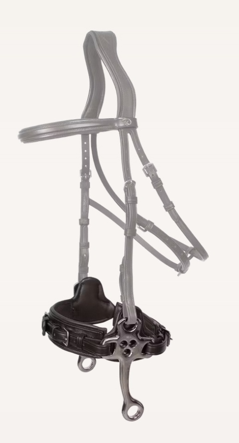 Hackamore Dy'on New English