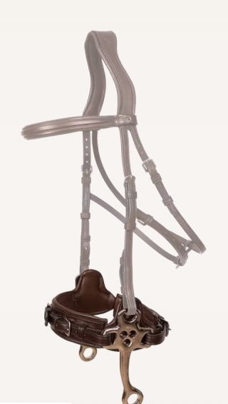 Hackamore Dy'on New English