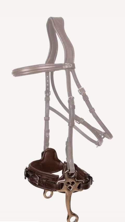 Hackamore Dy'on New English