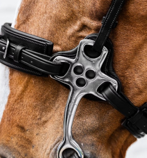 Hackamore Dy'on New English