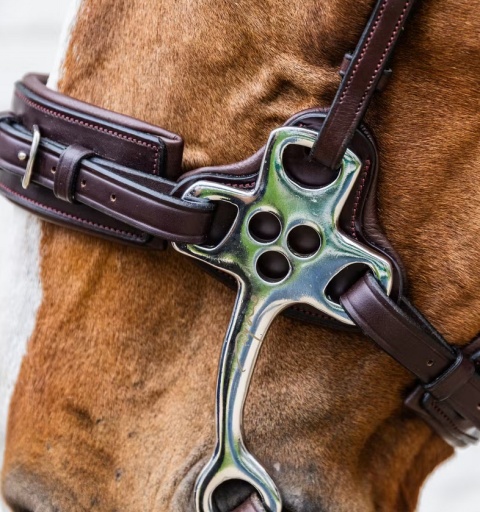 Hackamore Dy'on New English