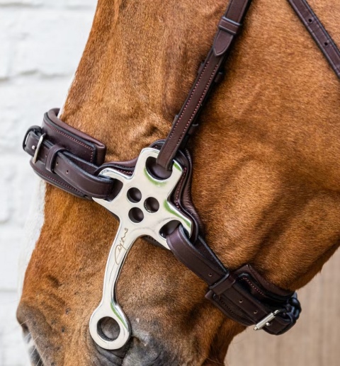 Hackamore Dy'on New English