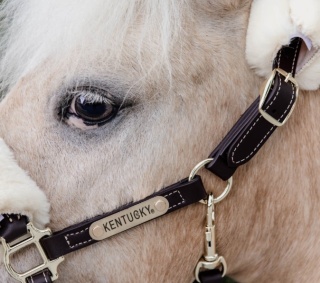 Kantar Kentucky Leather Sheepskin