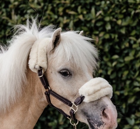 Kantar Kentucky Leather Sheepskin