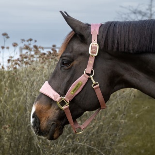 Kantar Kentucky Unicorn Glitter