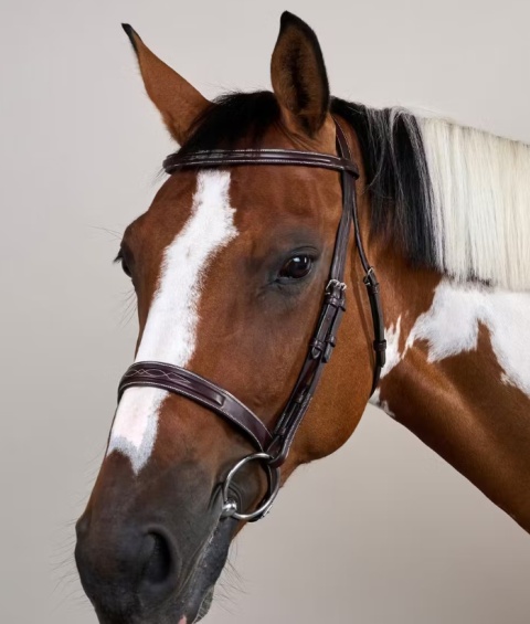 Ogłowie Dy'on Cavesson z szerokim nachrapnikiem angielskim US Hunter