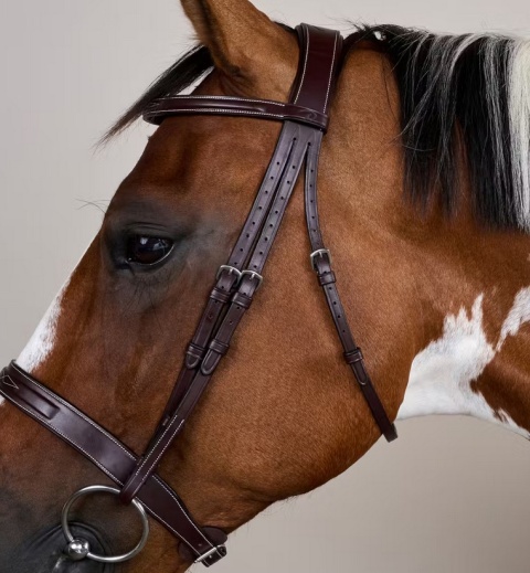 Ogłowie Dy'on Cavesson z szerokim nachrapnikiem angielskim US Hunter