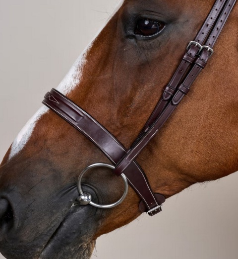 Ogłowie Dy'on Cavesson z szerokim nachrapnikiem angielskim US Hunter